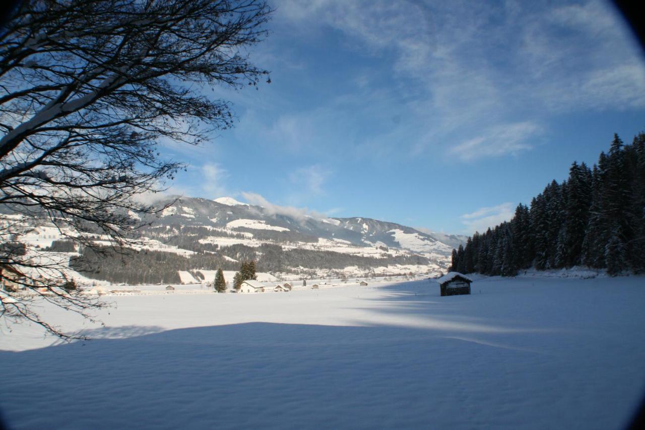 Appartamento Oase Der Ruhe Hollersbach im Pinzgau Esterno foto